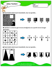 Zeka Gelişim Testleri